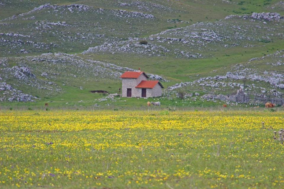 La Stella Danzante B&B Camerata Vecchia Eksteriør billede
