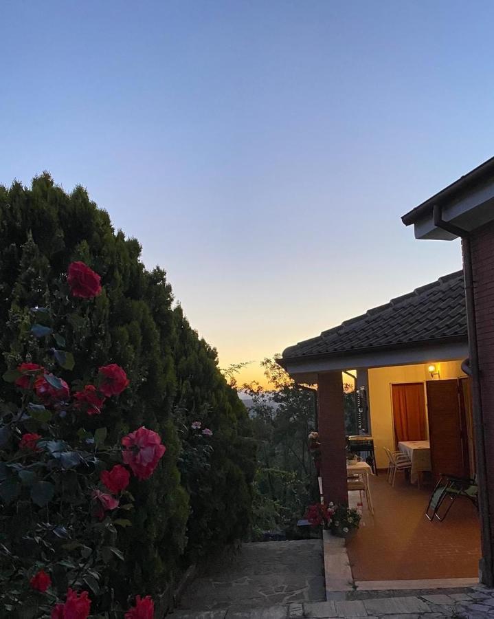 La Stella Danzante B&B Camerata Vecchia Eksteriør billede