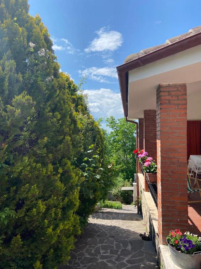 La Stella Danzante B&B Camerata Vecchia Eksteriør billede